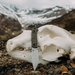 Alaska Blade Works Chugach