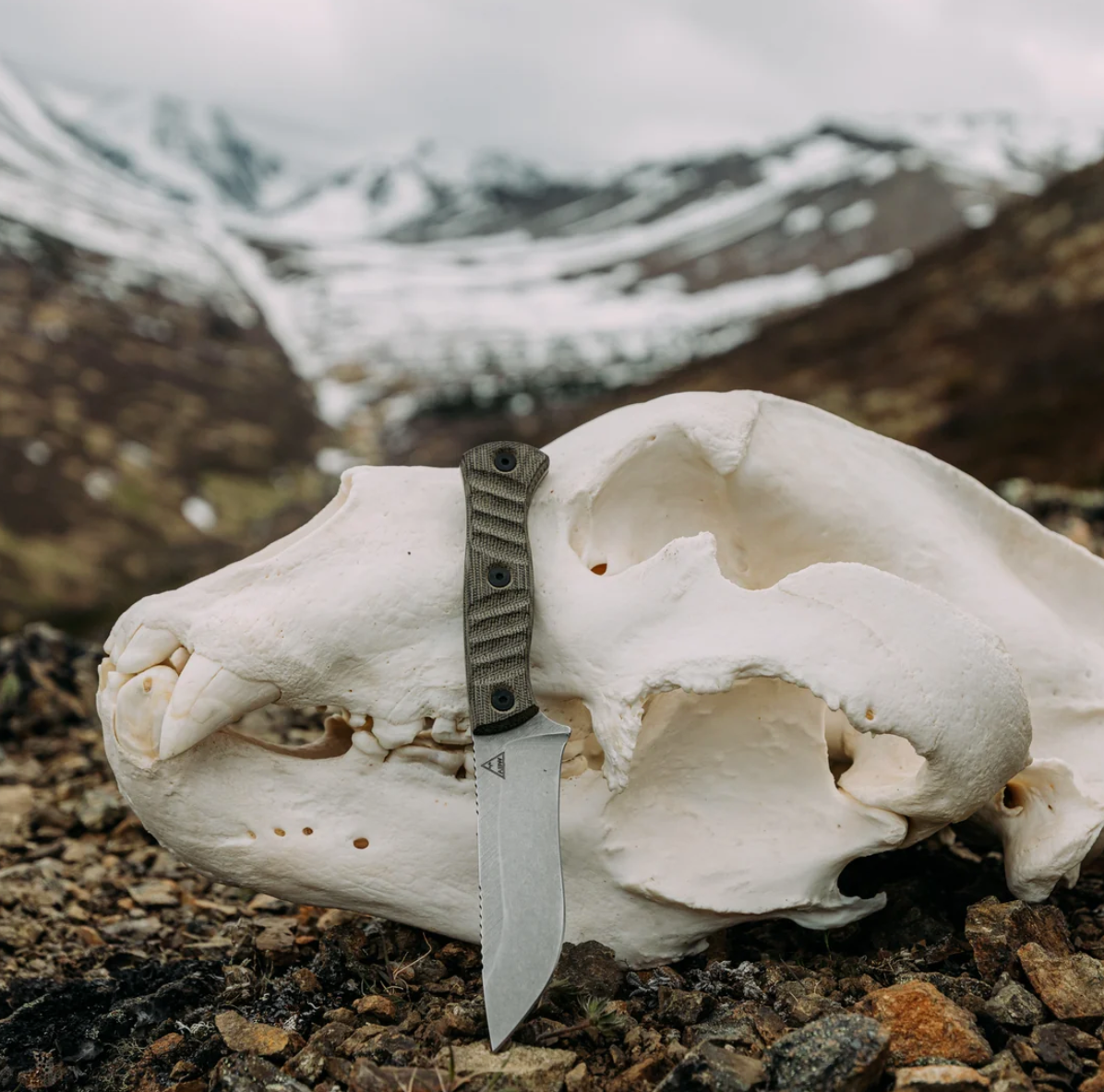 Alaska Blade Works Kodiak Skinner