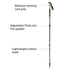 Black Diamond Alpine Carbon Cork Trekking Pole