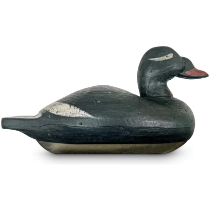 Dixie Decoys White Wing Scoter